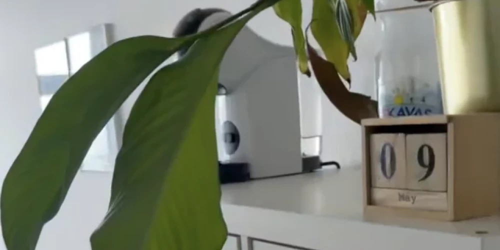 Kadrs no video ar kabinetu.