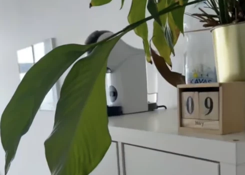 Kadrs no video ar kabinetu.