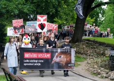 В Латвии благополучие кур-несушек отныне закреплено меморандумом. Что он предусматривает?