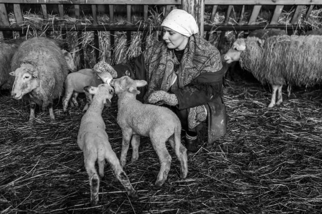 Работа Ивара Салманиса «Молоко человеколюбия».