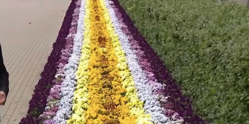 Puķu dobe pie Ministru kabineta. (foto: ekrānuzņēmums no @Threads).