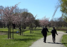 Rīgas pašvaldība mudina iedzīvotājus negaisa laikā neapmeklēt parkus un atpūtas zonas