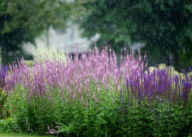 Karstums tuvākajās dienās neatgriezīsies: bieži gaidāms lietus un pērkona negaisi