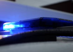 Apguļas svešās mājās svešā dīvānā, līķa smaka kaimiņos un nelikumīga koku ciršana - Mārupes pašvaldības policijai rosīgs maija mēnesis