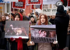 "Свободу курам!" не услышали: депутаты отклонили поправки о бесклеточном содержании