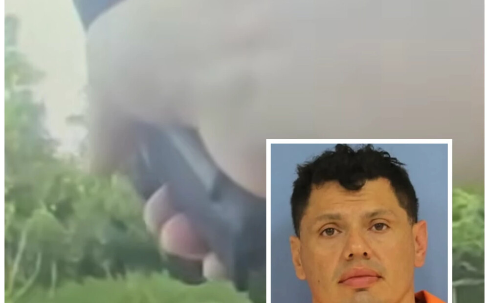 Aligators palīdz noķert iereibušu autovadītāju, kurš Luiziān