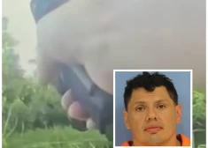 Aligators palīdz noķert iereibušu autovadītāju, kurš Luiziānas purvā mēģināja aizbēgt no policijas. VIDEO