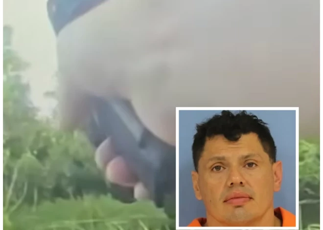 Viktors Rivass un viņa ķeršanas operācija (ekrānuzņēmumi no video; kolāža: jauns.lv)