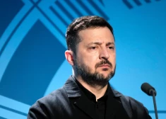 Поляки стали хуже относиться к украинцам после одного решения Зеленского