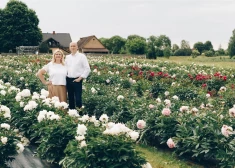 Ogres novada Tomē norisināsies košie Peoniju svētki, par muzikālo baudījumu gādās Žoržs Siksna