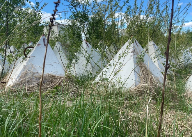 Aiz propagandas priekškara: ir skaidrojums, kāpēc Krievija histēriski vēršas pret Baltiju