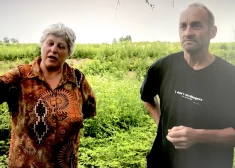 Andris norāda, ka šobrīd viņa senču stādītie koki nonākuši kaimiņa īpašumā.