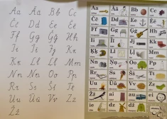 Plāno piemērot stingrākus sodus par valsts valodas lietojuma pārkāpumiem