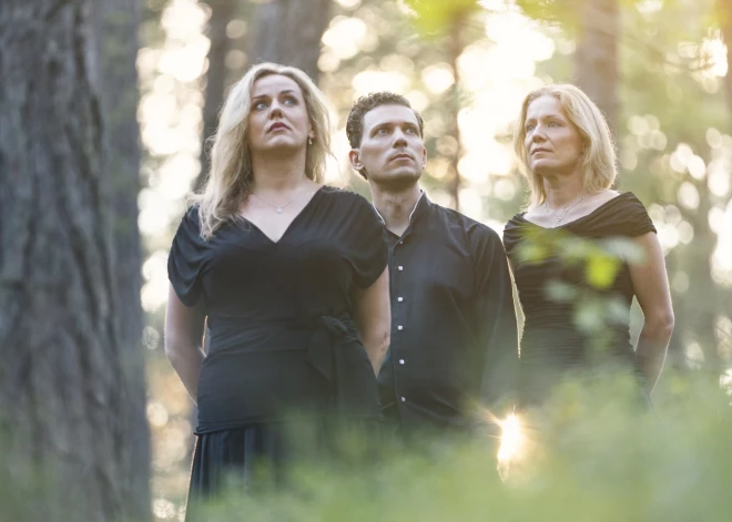 Par godu Pētera Vaska jubilejai Mazajā Mežotnes pilī viesosies “Trio Palladio”